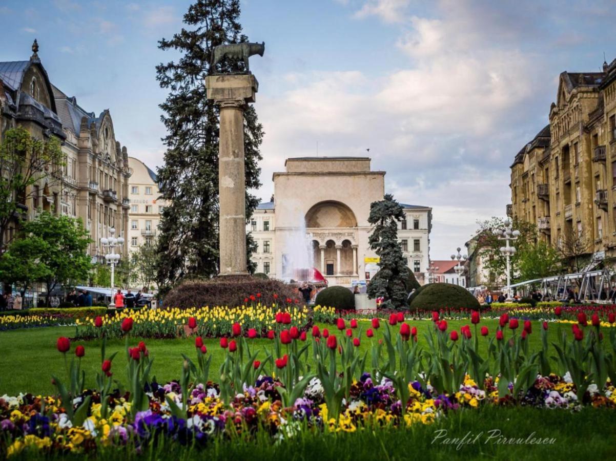 Apartmán Premium Temešvár Exteriér fotografie