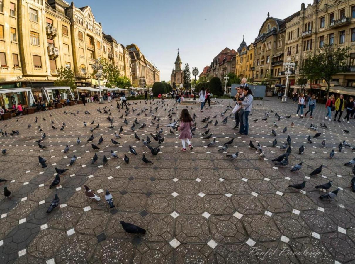 Apartmán Premium Temešvár Exteriér fotografie